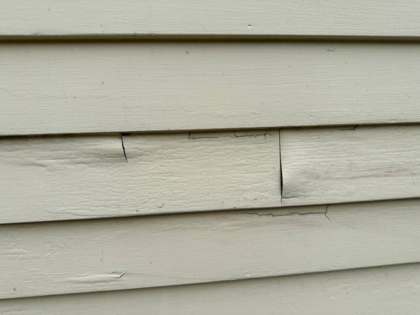 Best Stucco Siding  in Lus Valley Marinwood, CA